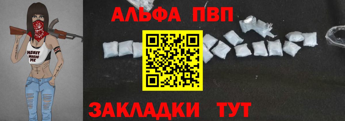 Альфа ПВП СК КРИС Курчалой