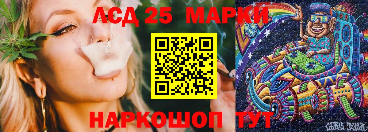 купить закладку  Марки N-bome 1,5мг  Вход с VPN  Курчалой 