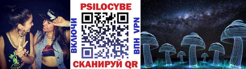 Псилоцибиновые грибы Cubensis  blacksprut ссылки  Курчалой 