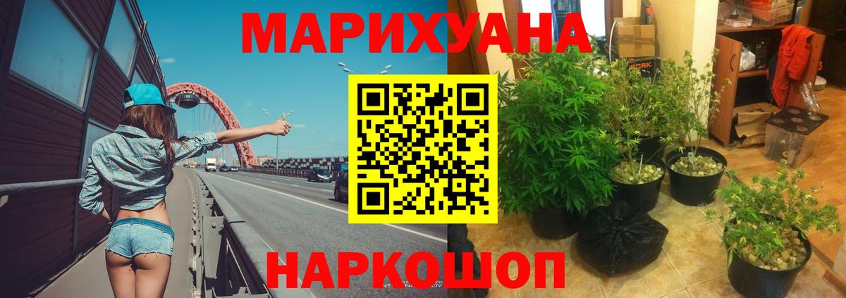 Конопля Amnesia  Вход с VPN  Курчалой  Шишки марихуана планчик  Бошки Шишки тримм 